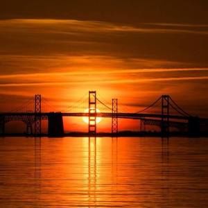 Meet your Posher, Lynn